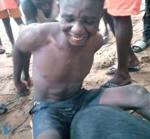 A young man surrounded by residents after being caught allegedly stealing a pig from a local pig farm while the recovered animal stands nearby.